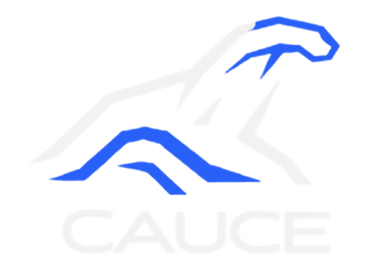 CAUCE